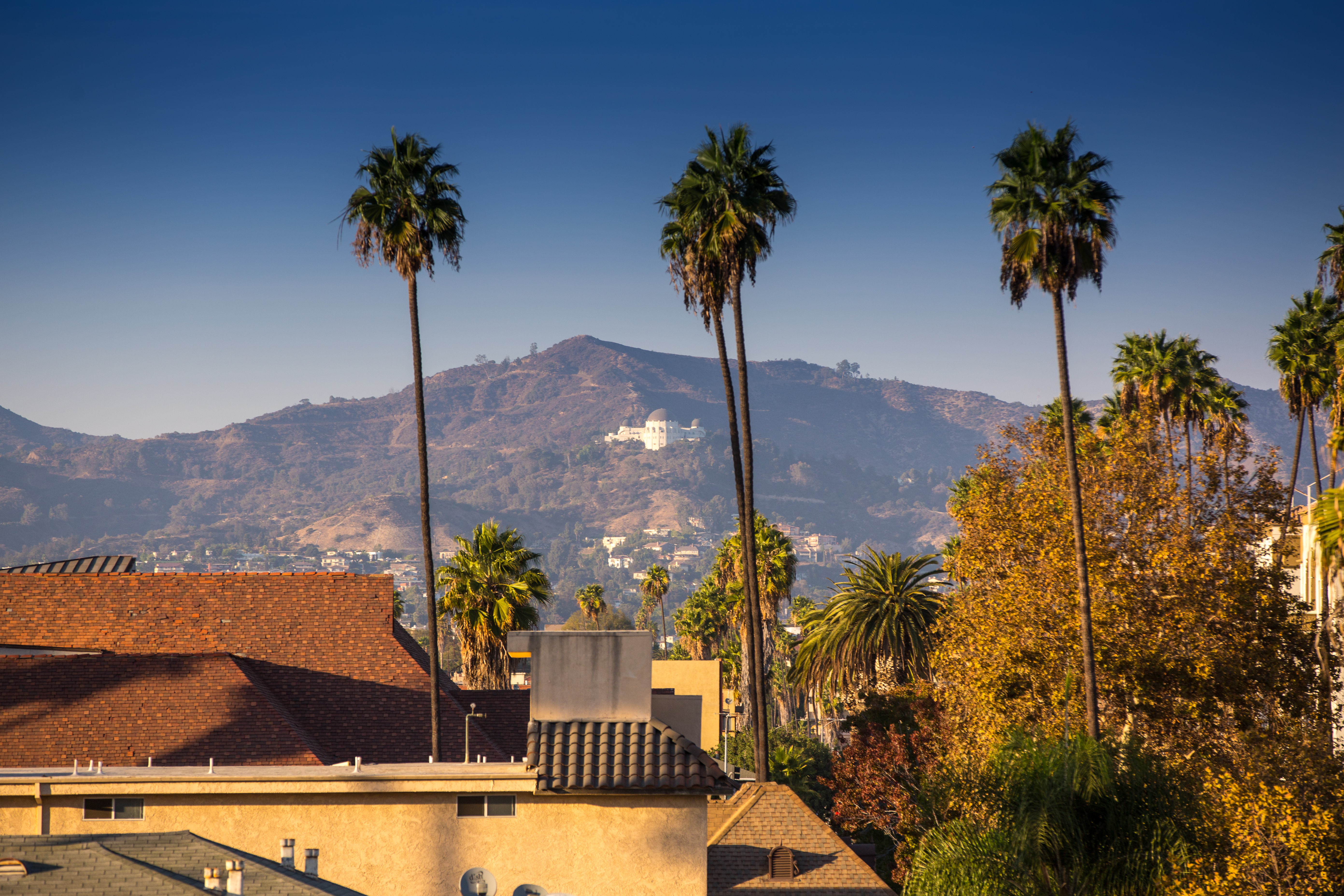 LA, Hollywood