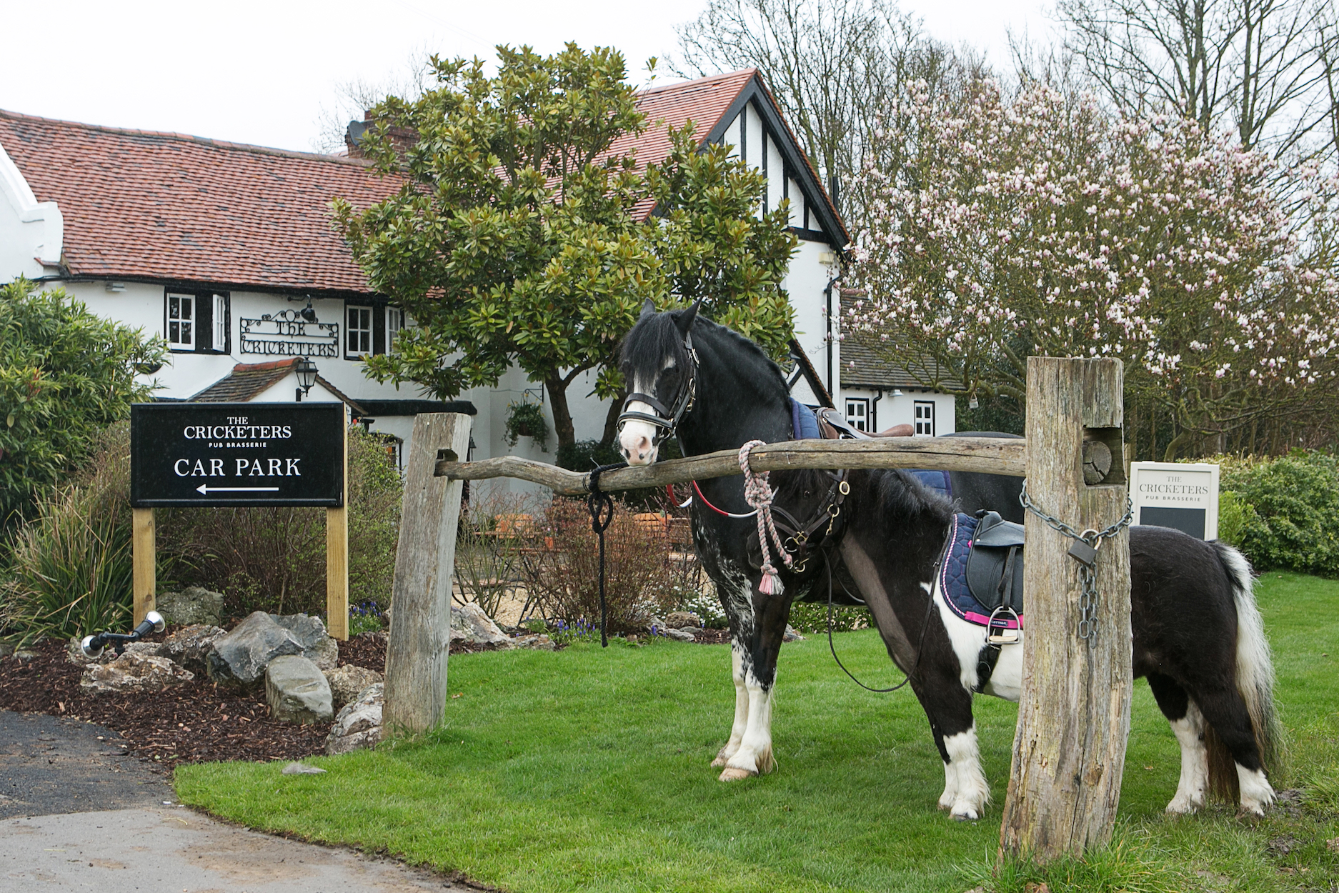 The Cricketers, Cobham, Surrey