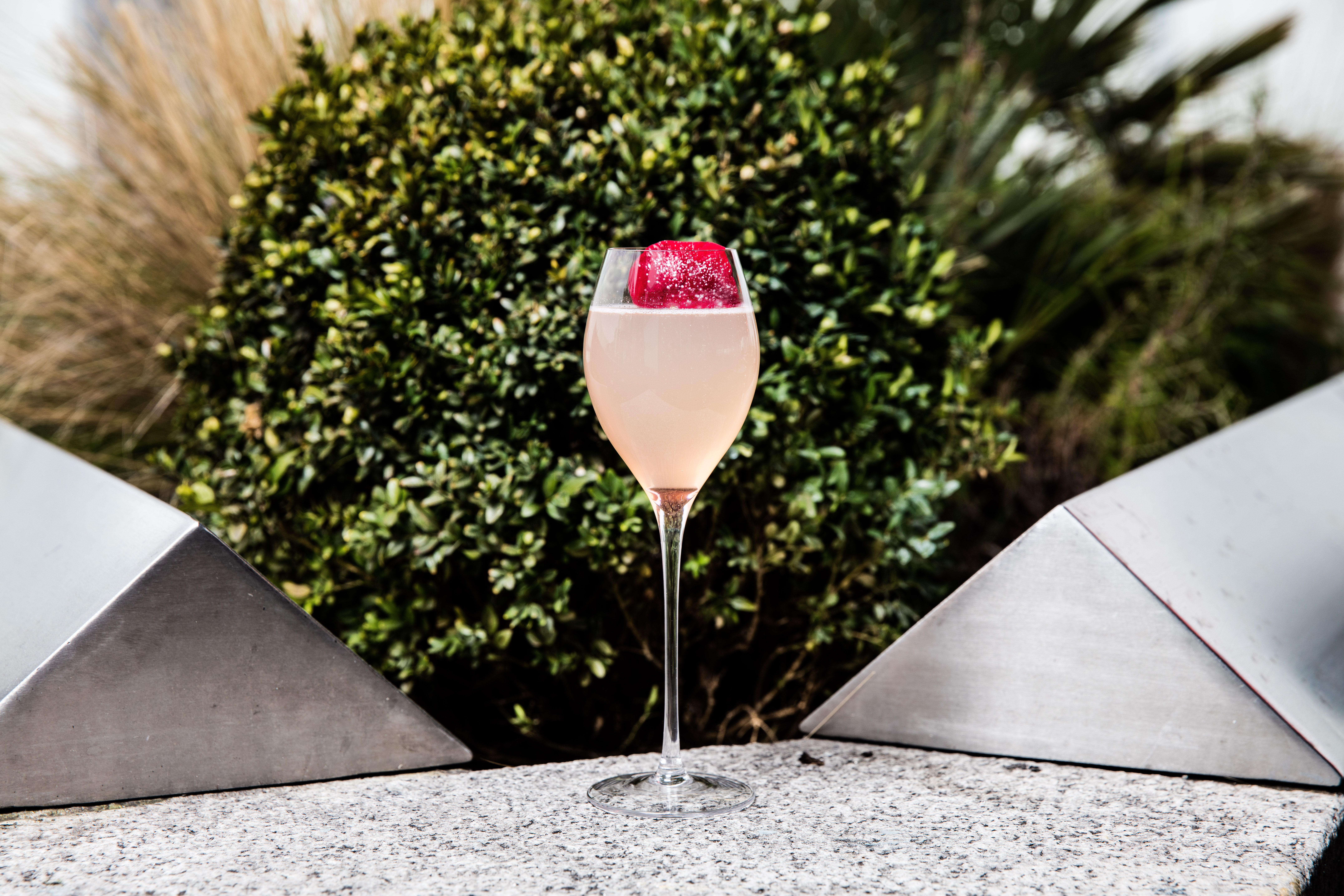 Rose Cocktail