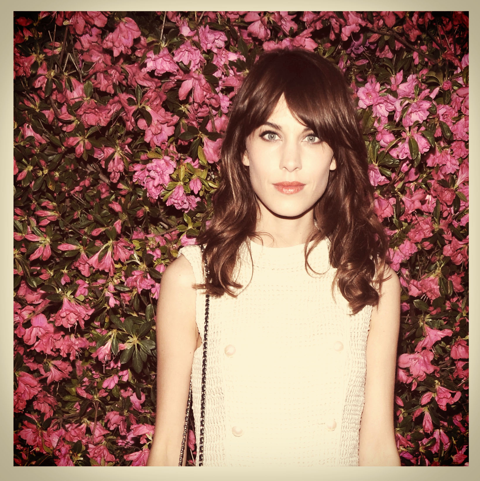 NEW YORK, NY - APRIL 24: (EDITORS NOTE: THIS IMAGE HAS BEEN DIGITALLY MANIPULATED) Alexa Chung attends the Chanel Tribeca Film Festival Artists Dinner on April 24, 2013 in New York City. (Photo by Jamie McCarthy/Getty Images for Tribeca Film Festival)