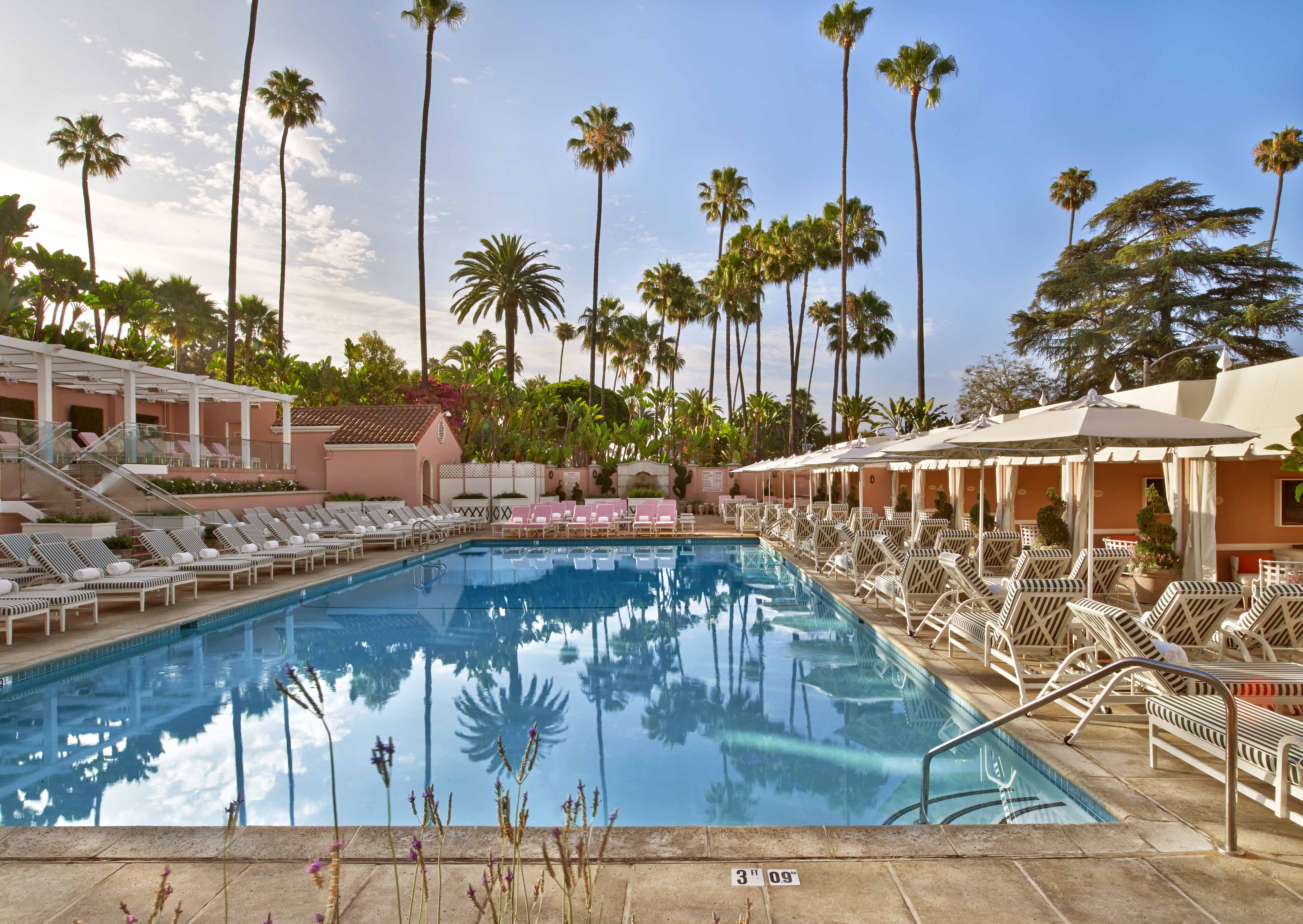 the-beverly-hills-hotel-pool