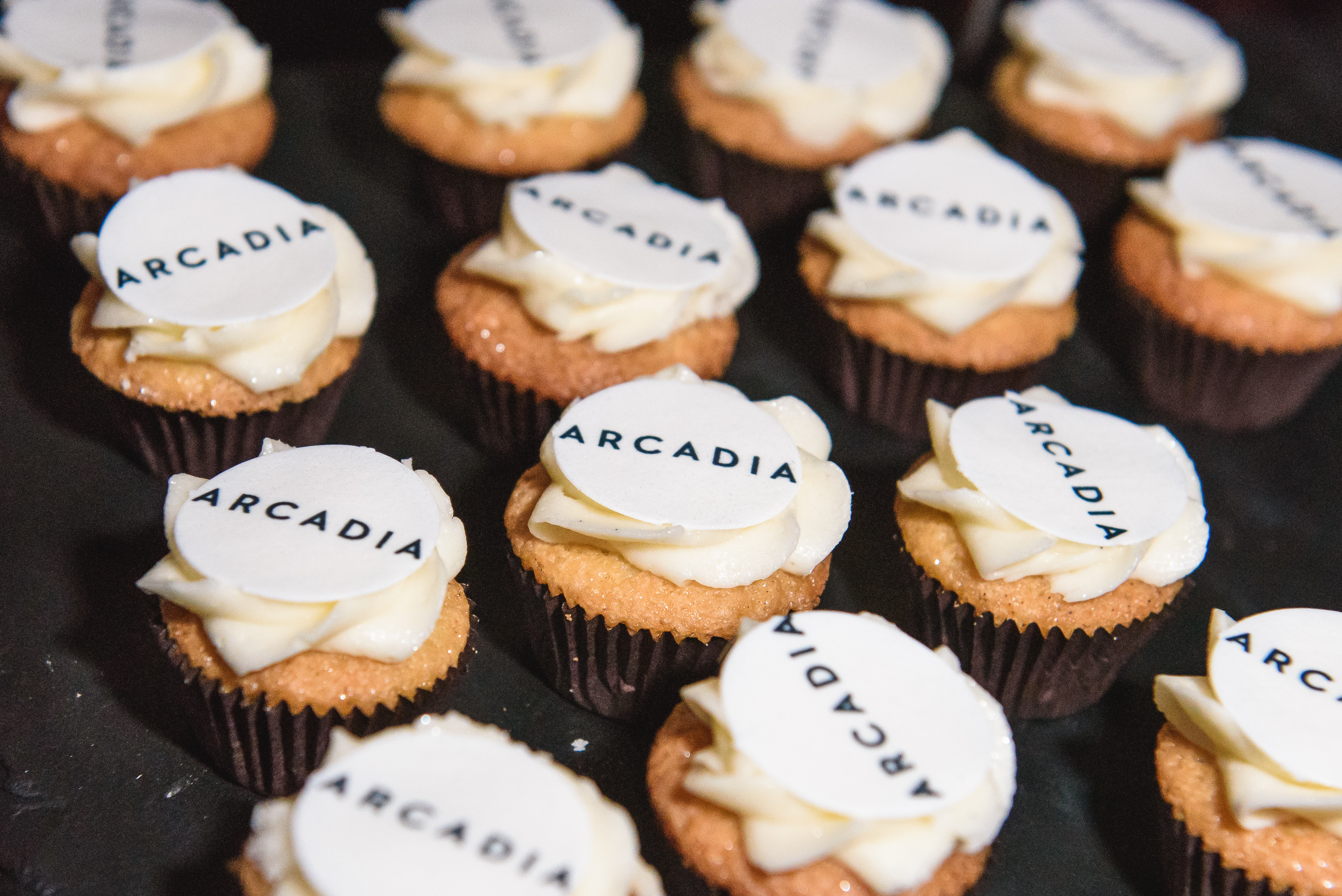 ARCADIA Spring 2018 Launch Party
